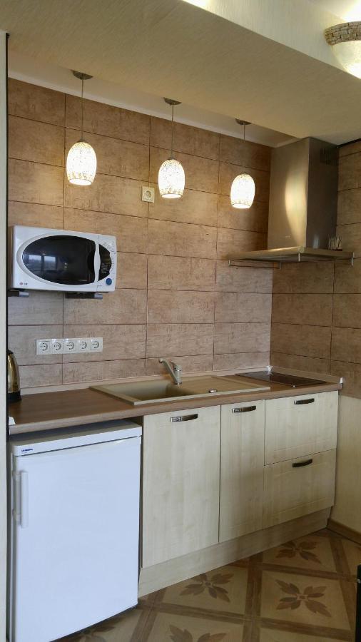Apartment Near Dnipro Arena Eksteriør billede